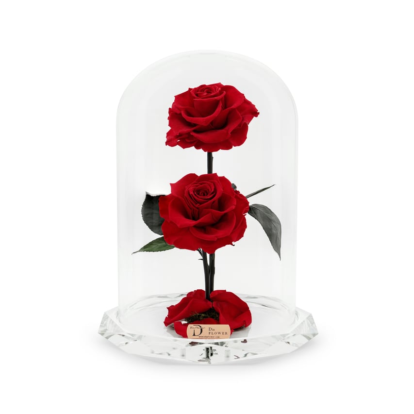 Divine Duality with red preserved roses