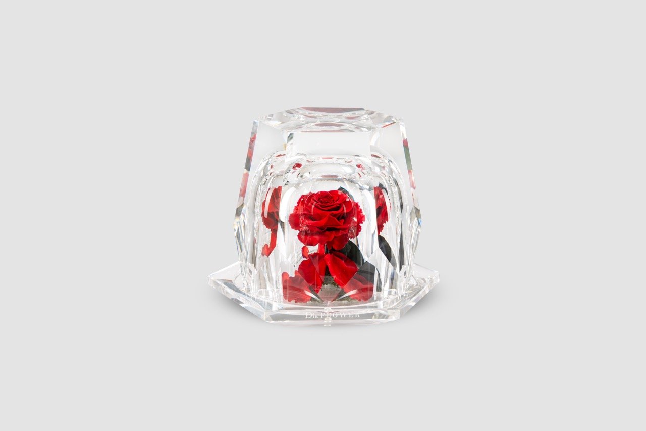 Dia Diamond S with red preserved rose