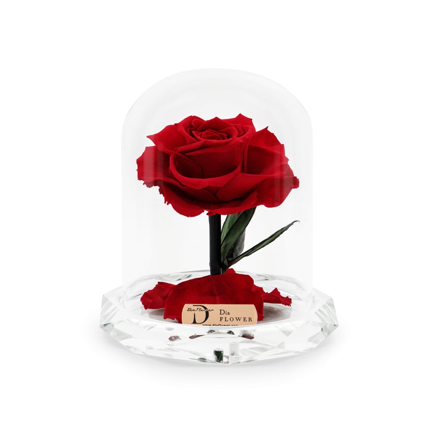 Classic Divine Rose in crystal dome, preserved single rose, 12cm x 12cm x 15cm
