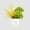 Small Mellow Yellow floral arrangement	 thumbnail