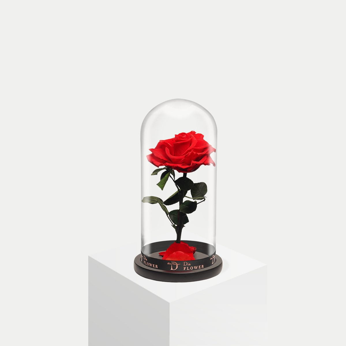 Small <P> 9 roses </p>
